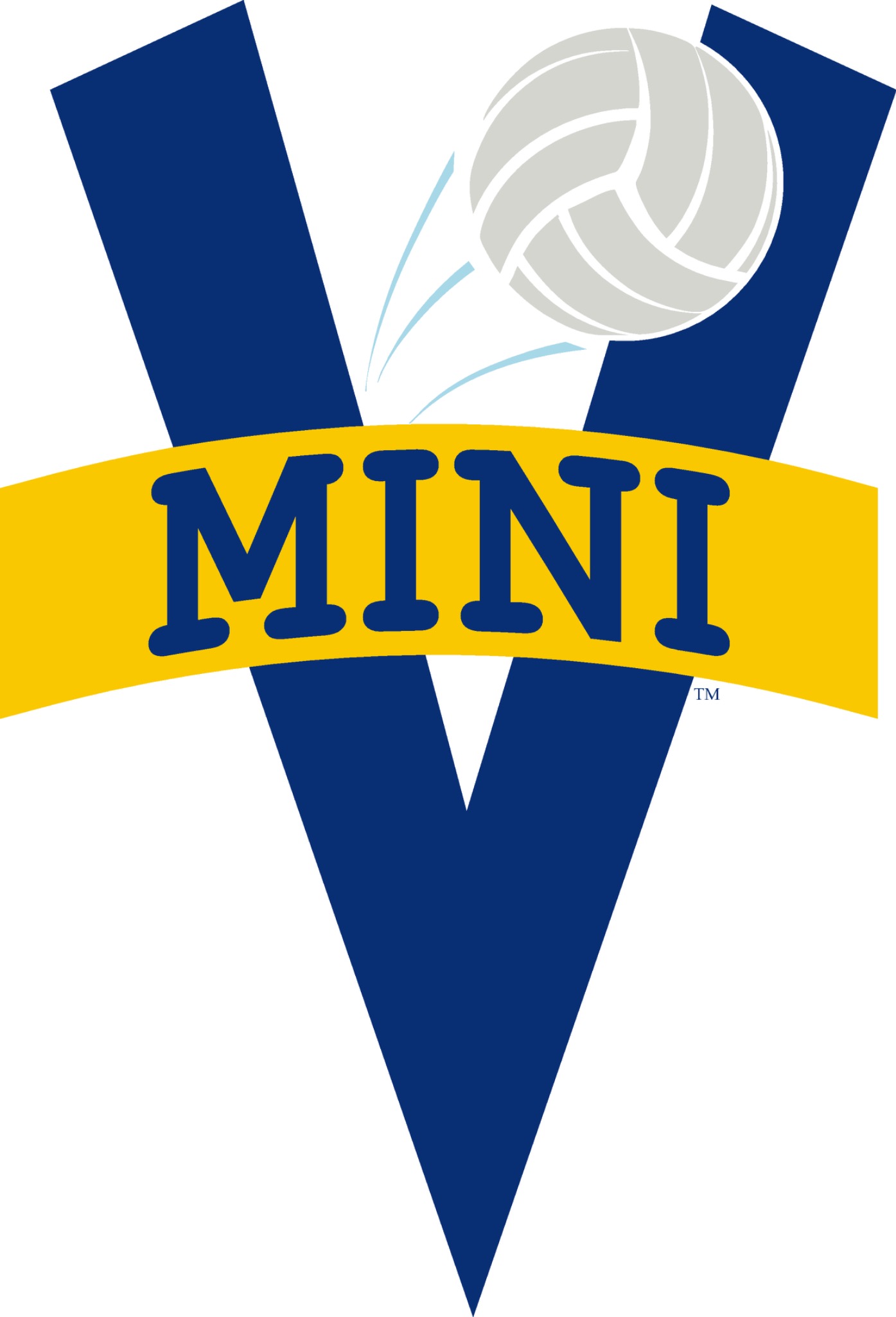 Mini V Logo